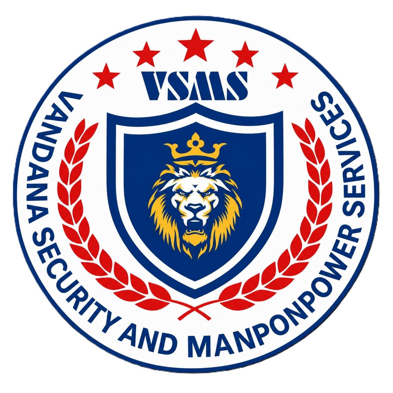 VSMS